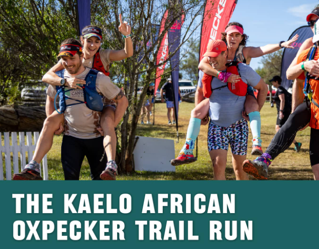 Kaelo African Oxpecker 2024